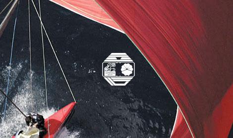 中意财险
官网开发